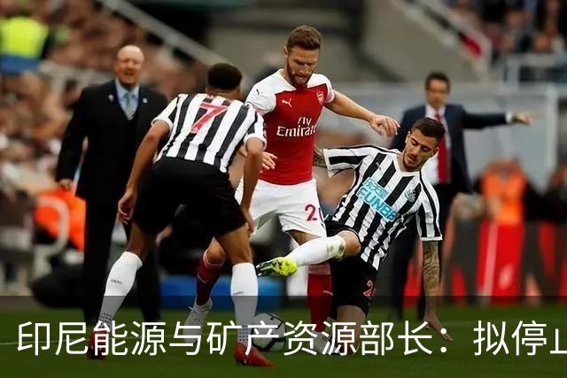 印尼能源与矿产资源部长：拟停止向不尊重印尼的国家供能